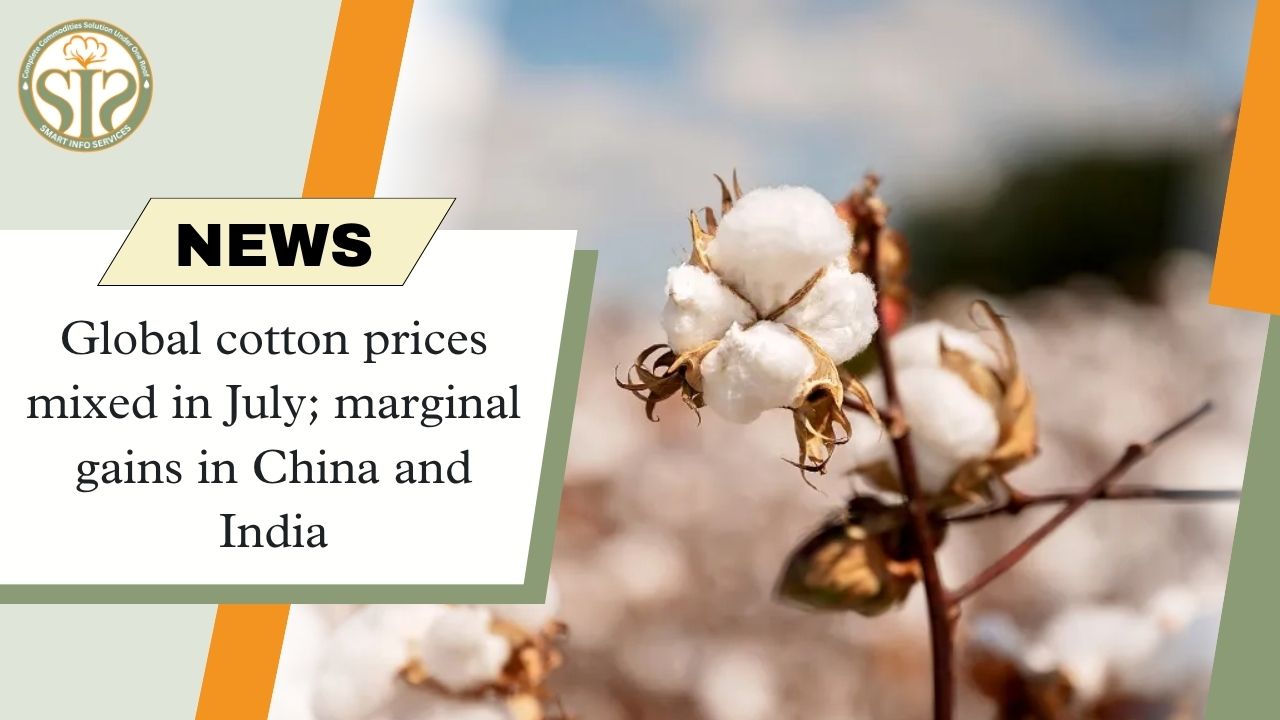 Global cotton prices mixed in July; marginal gains in China and India