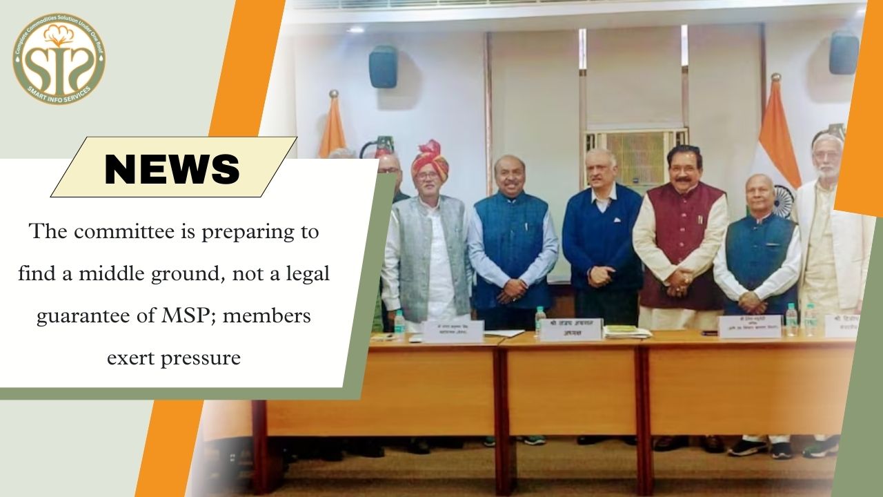 There is no legal guarantee on MSP, the committee will find a middle path.