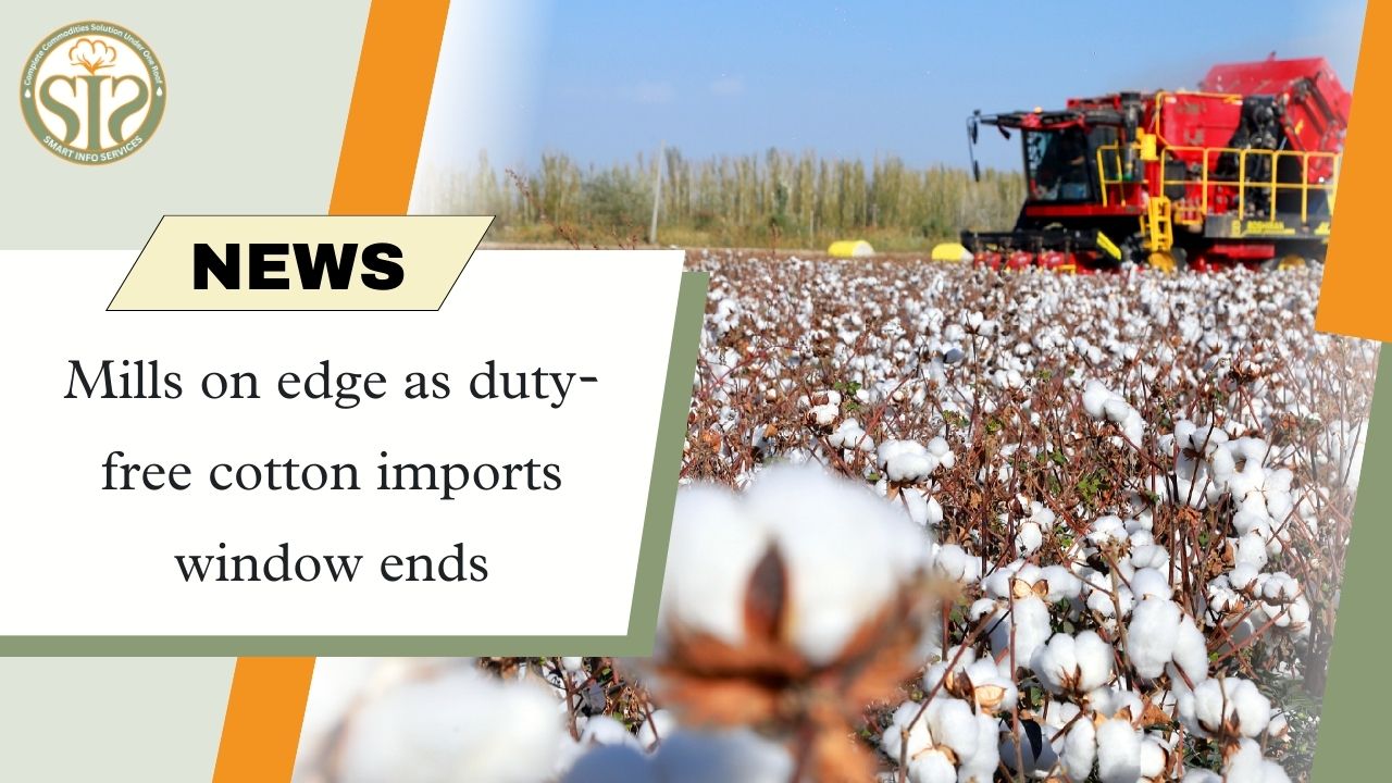 Mills on edge as duty-free cotton imports window ends