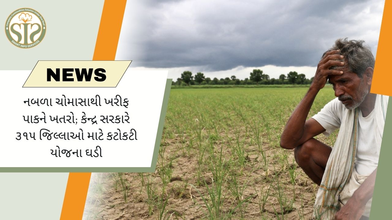 નબળા ચોમાસાથી ખરીફ પાકને ખતરો