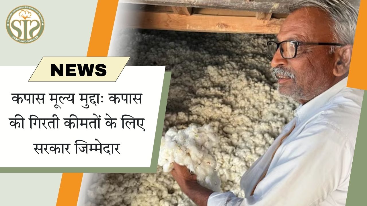 कपास मूल्य गिरावट: सरकार पर सवाल