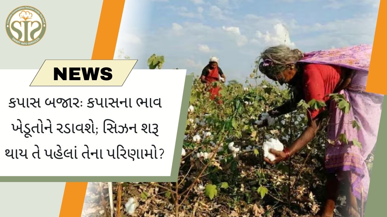 કપાસના ભાવ ઘટ્યા: ખેડૂતોની મુશ્કેલીઓ વધી