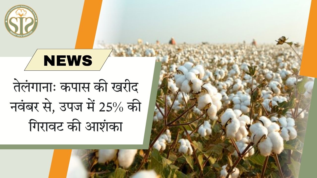 तेलंगाना: नवंबर से कपास खरीद, 25% घटेगी उपज