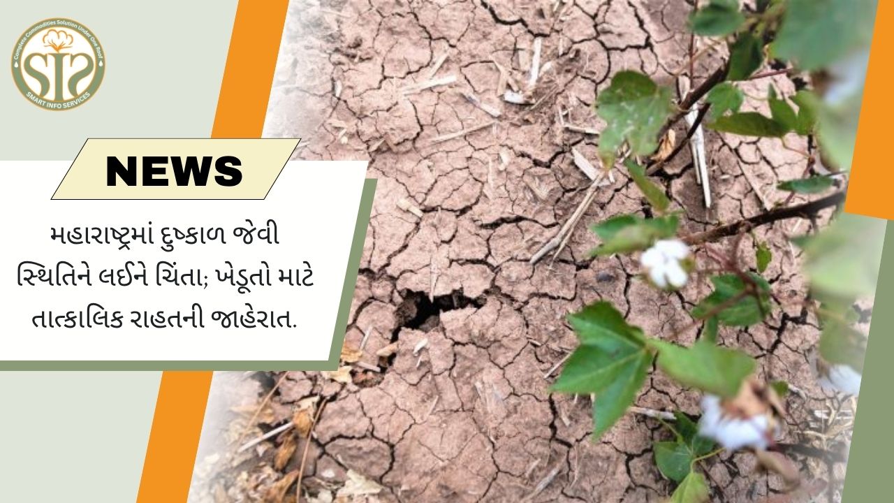 મહારાષ્ટ્રમાં દુષ્કાળ જેવા હાલાત, ખેડૂતોને રાહત