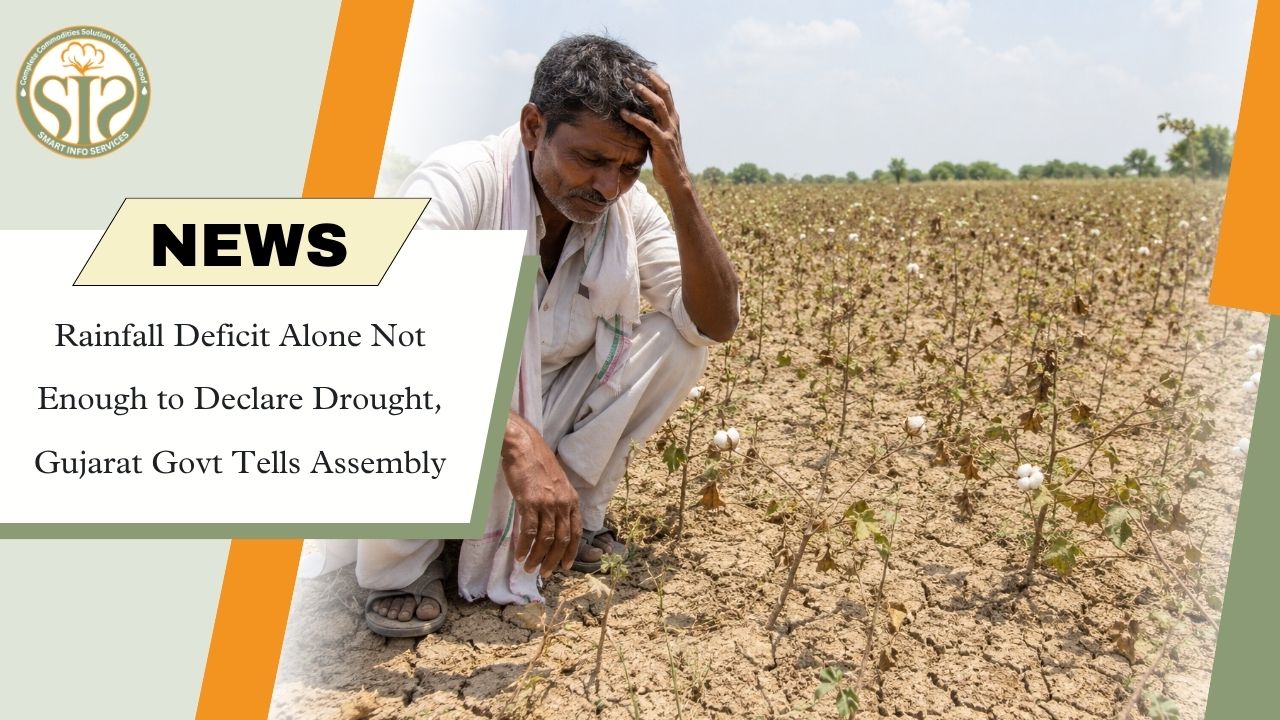 Gujarat Rainfall Deficit Not Enough for Drought
