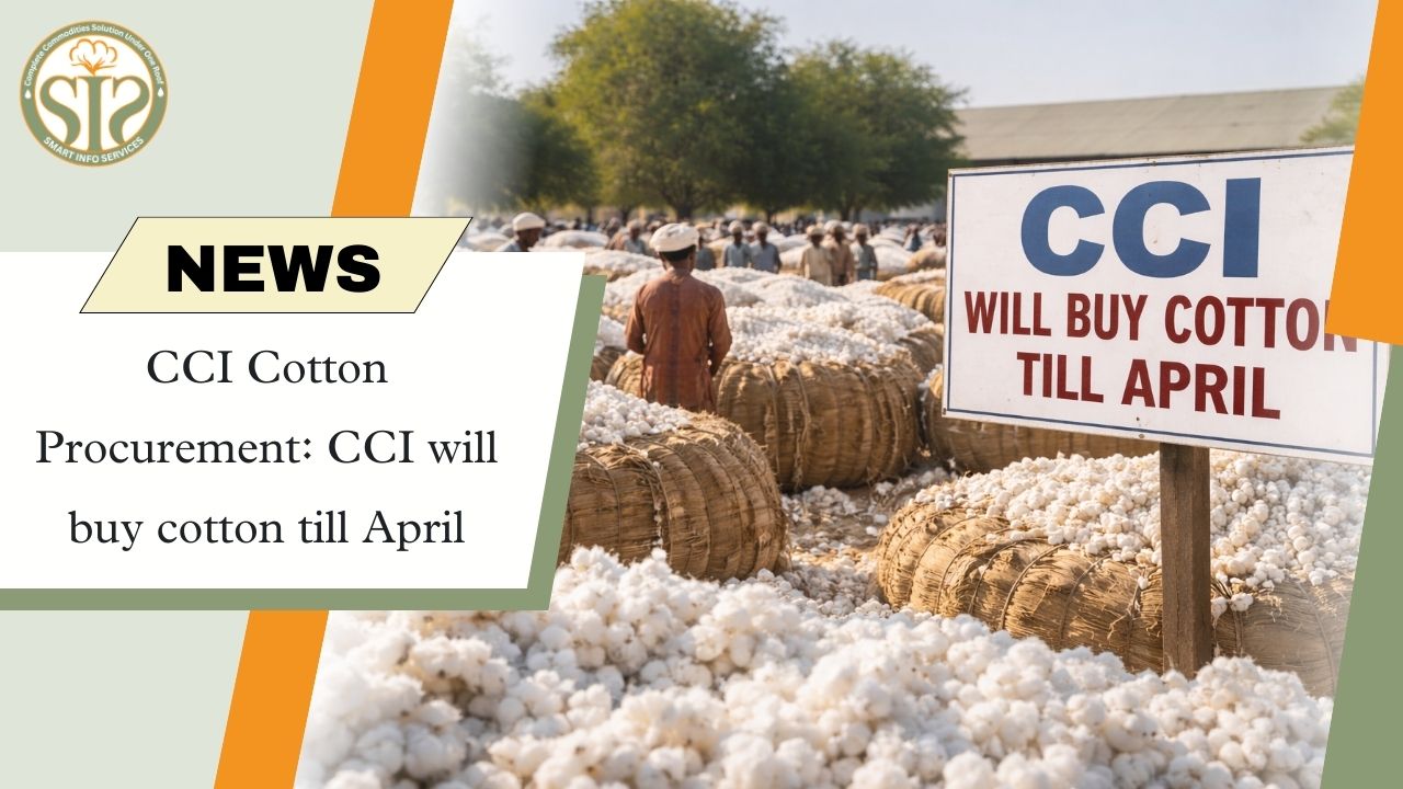 CCI to continue government procurement of cotton till April