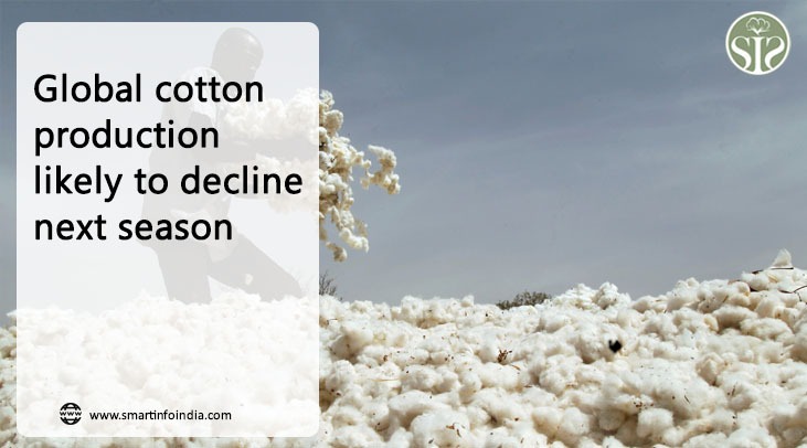 Global cotton production likely to decline next season