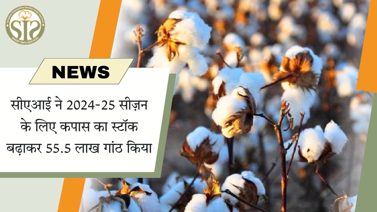 सीएआई ने कपास स्टॉक बढ़ाकर 55.5 लाख गांठ किया
