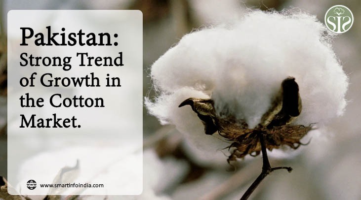 Pakistan: Cotton market moves strong with trend uptrend.