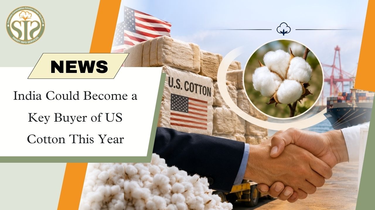 India May Become Major US Cotton Importer in 2026 Amid Rising Demand