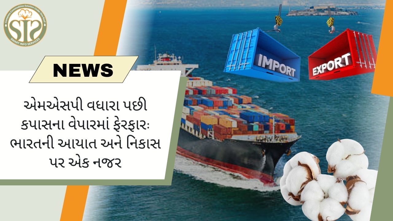 કપાસના MSPમાં વધારો: ભારતનો વેપાર અને નિકાસ