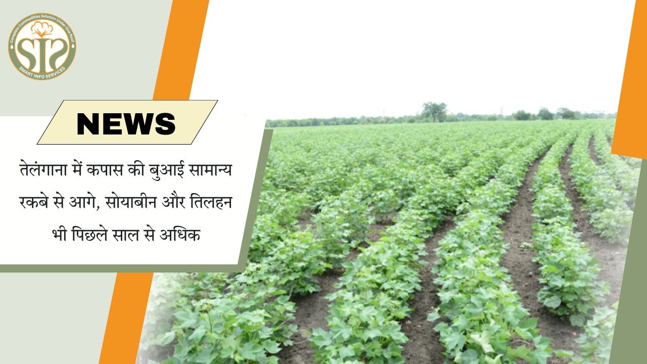 तेलंगाना में कपास बुवाई सामान्य रकबे से आगे.