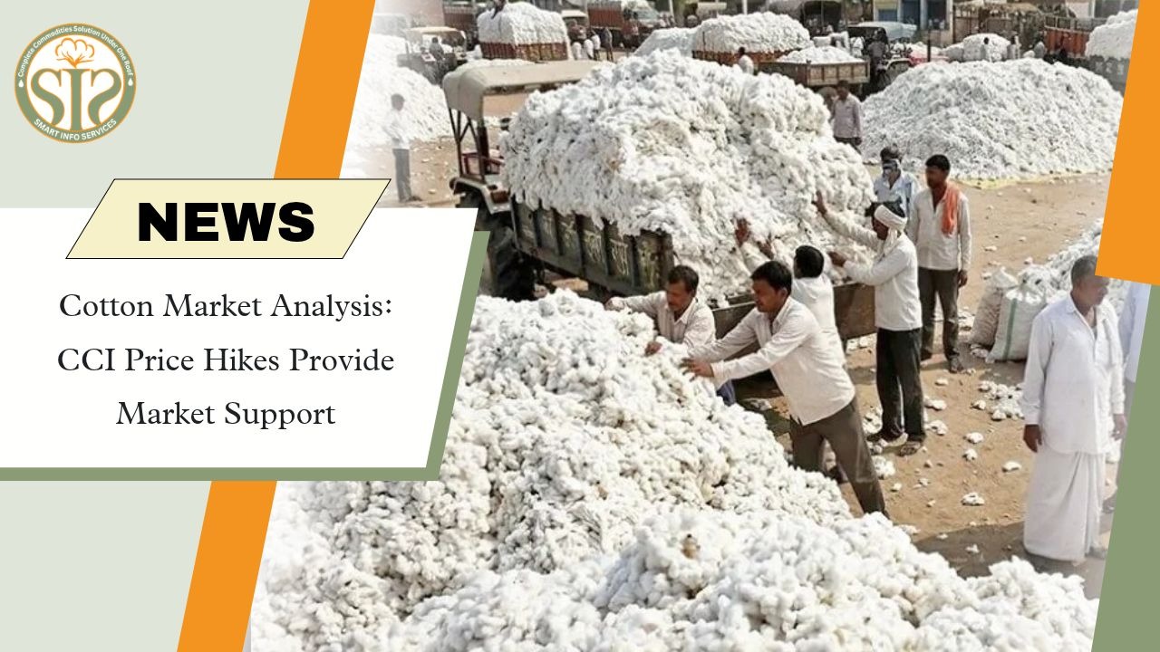 CCI Cotton Price Hike Supports Indian Market Amid Slow Arrivals