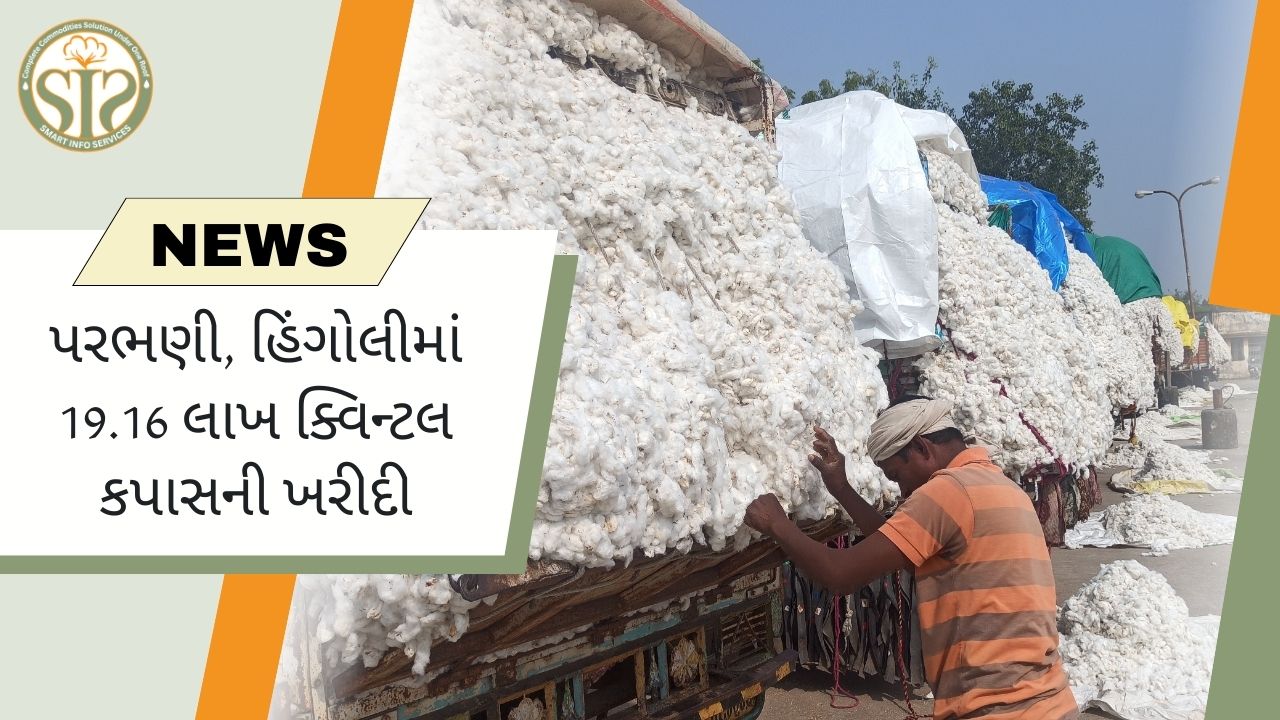 પરભણી અને હિંગોલીમાં 19.16 લાખ ક્વિન્ટલ કપાસની ખરીદી