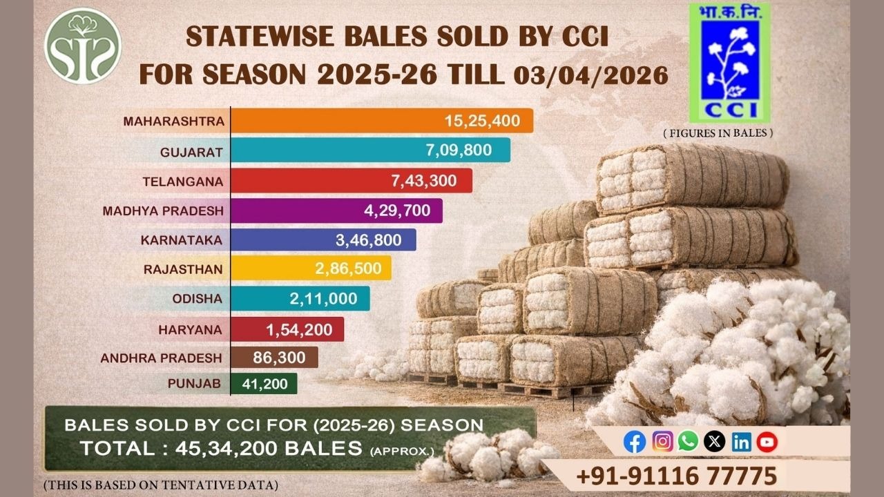 State-wise CCI Cotton Sales Details: 2025-26 Season