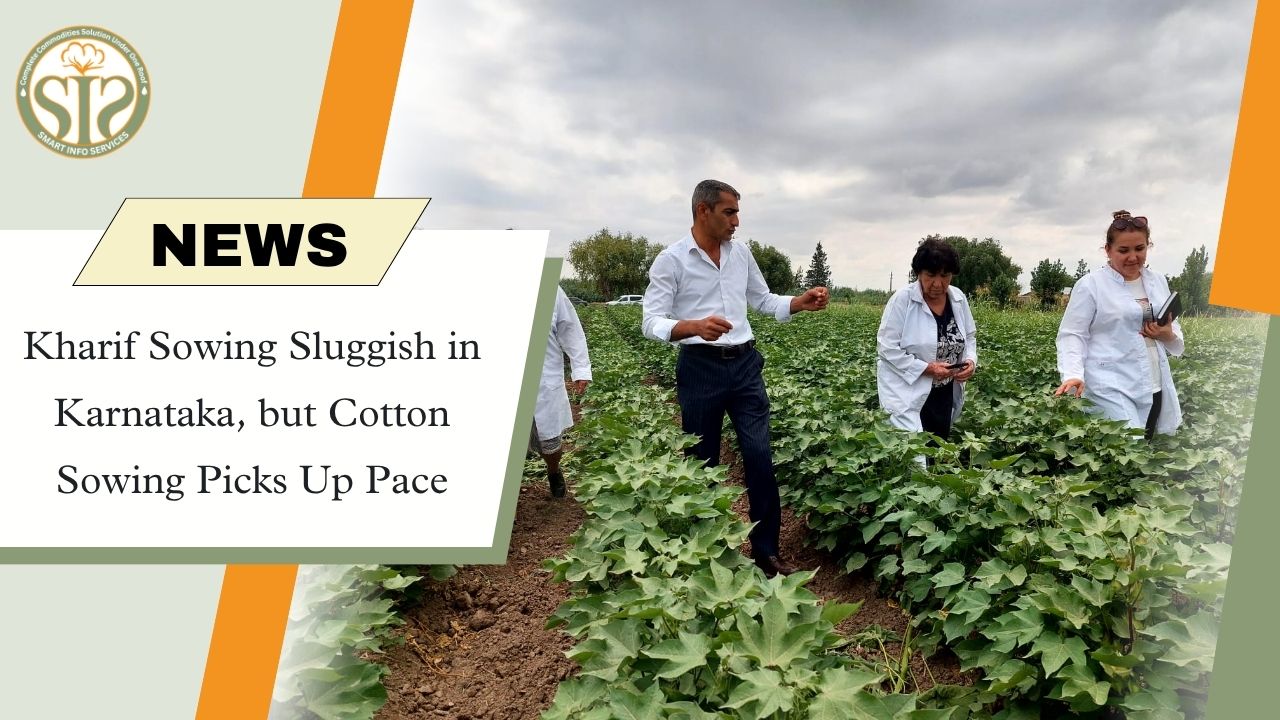 Kharif Sowing Slow in Karnataka as Cotton Acreage Surges Despite Rainfall Deficit