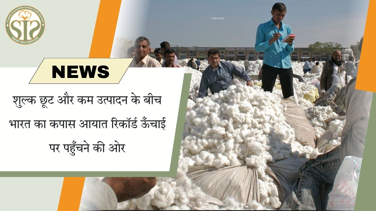 शुल्क छूट के बीच भारत का कपास आयात रिकॉर्ड स्तर पर