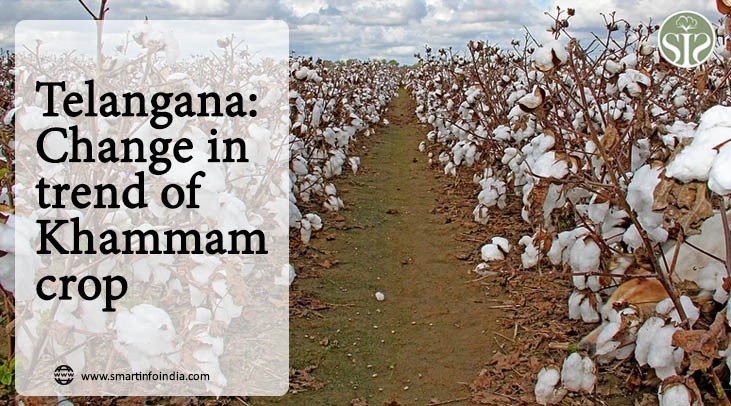 Telangana Change in trend of Khammam crop