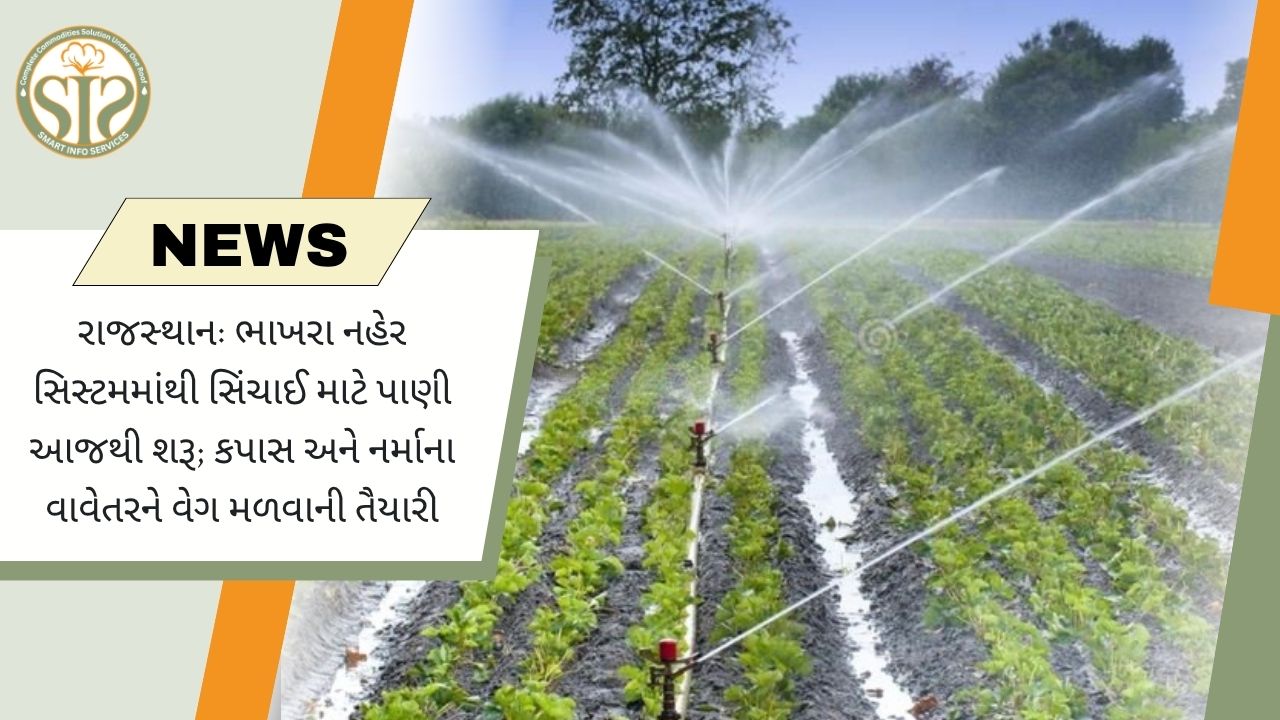 રાજસ્થાનમાં ભાખરા કેનાલથી સિંચાઈ માટે પાણી શરૂ, કપાસ અને નરમા વાવેતરને મળશે ગતિ