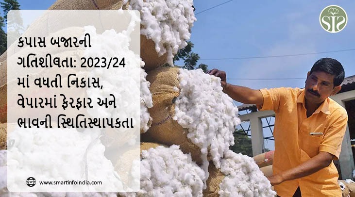 કપાસ બજારની ગતિશીલતા: 2023/24માં નિકાસમાં વધારો, વેપારમાં ફેરફાર અને ભાવની સ્થિતિસ્થાપકતા