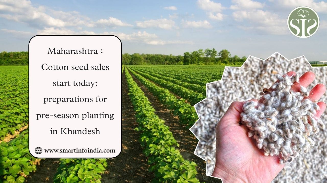 Maharashtra : Cotton seed sales start today; preparations for pre-season planting in Khandesh