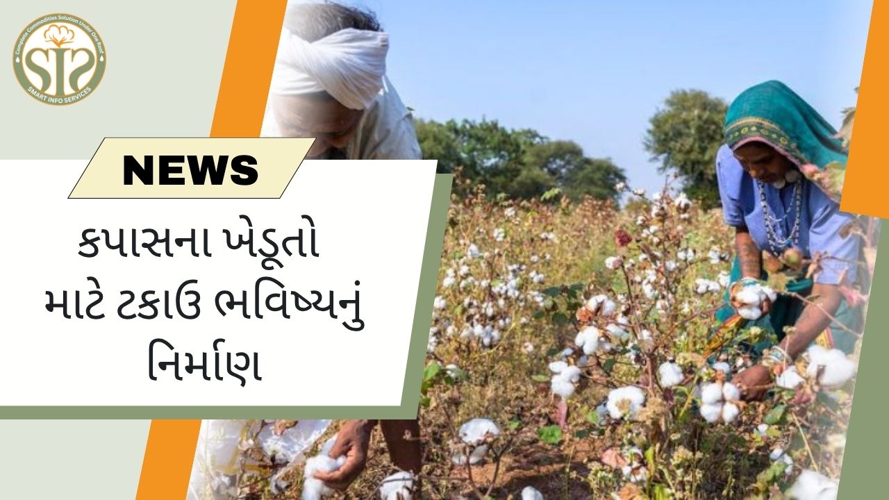 "કપાસ ખેડૂતો માટે ટકાઉ ભવિષ્ય"
