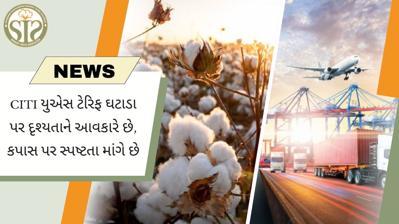 CITI કપાસ પર ટેરિફ કટ, સ્પષ્ટતાને આવકારે છે