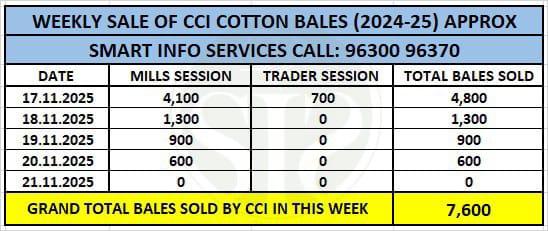 CCI એ 90% કપાસનું વેચાણ પૂર્ણ કર્યું, ભાવ સ્થિર રહ્યા
