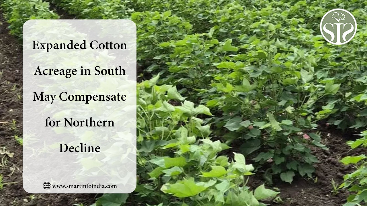 Expanded Cotton Acreage in South May Compensate for Northern Decline