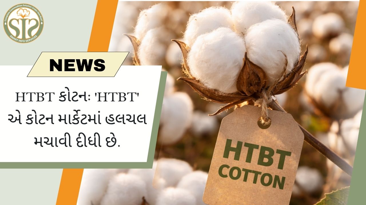 HTBT કોટન: બજારમાં નવી મૂવમેન્ટ