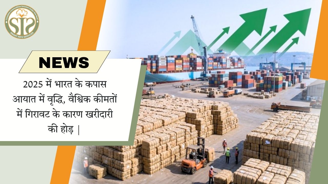 कपास आयात बढ़ा, कीमतों में गिरावट से खरीद तेज