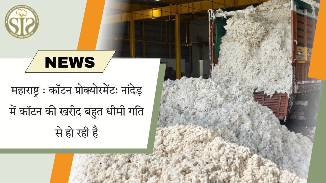 नांदेड़ में कॉटन प्रोक्योरमेंट प्रक्रिया धीमी, खरीद में सुस्ती