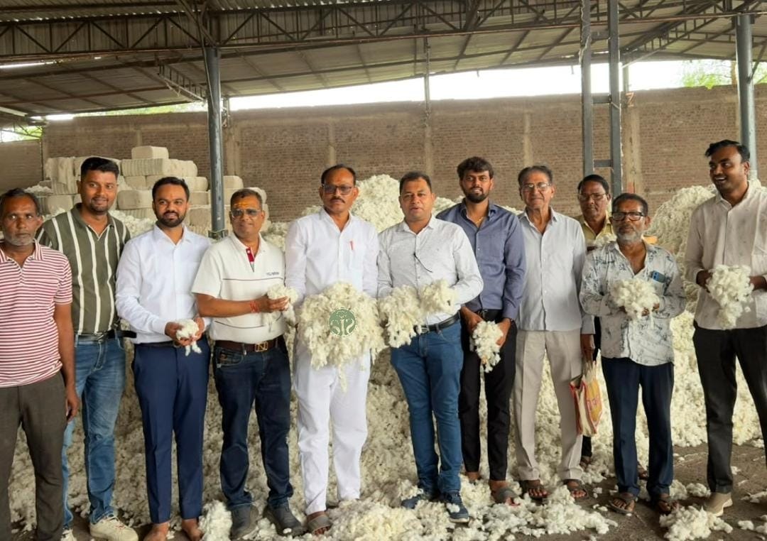 MPમાં કપાસ સીઝન ₹9,101થી શરૂ