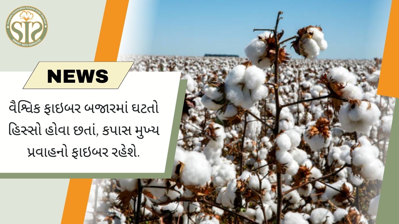 ઘટતા હિસ્સા છતાં કપાસ મુખ્ય રેસા તરીકે રહેશે
