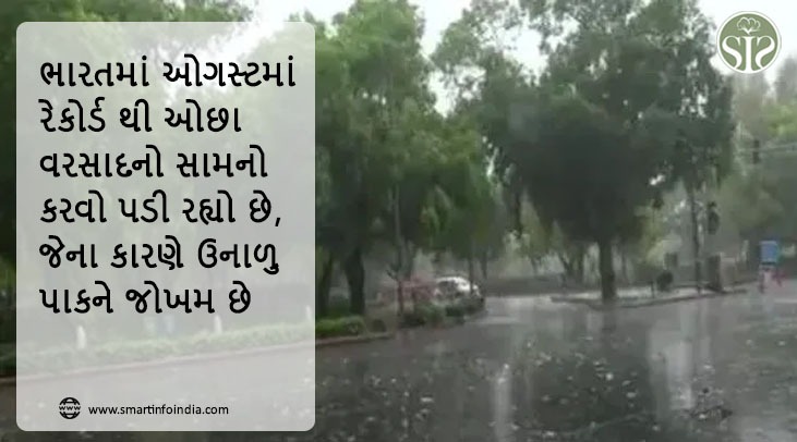 ભારતમાં ઓગસ્ટમાં રેકોર્ડ ઓછા વરસાદનો સામનો કરવો પડી રહ્યો છે, જેના કારણે ઉનાળુ પાકને જોખમ છે.