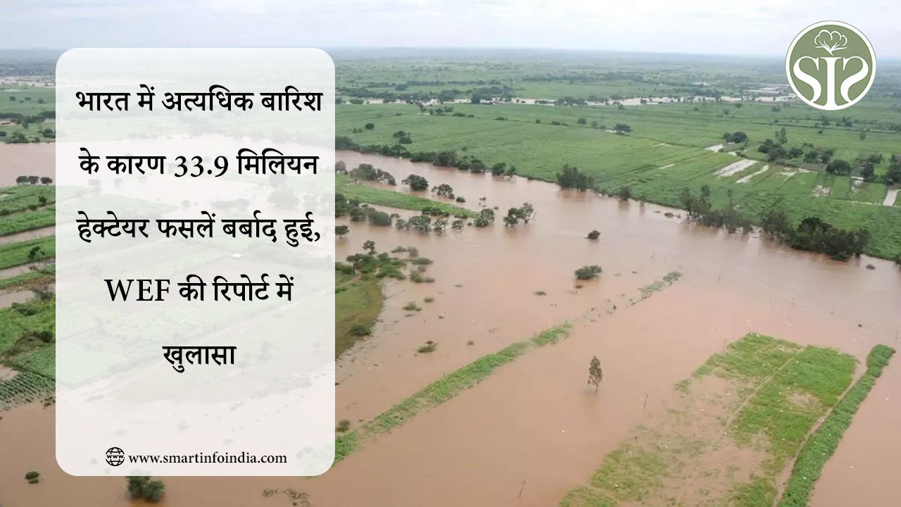 भारत में अत्यधिक बारिश के कारण 33.9 मिलियन हेक्टेयर फसलें बर्बाद हुई, WEF की रिपोर्ट में खुलासा