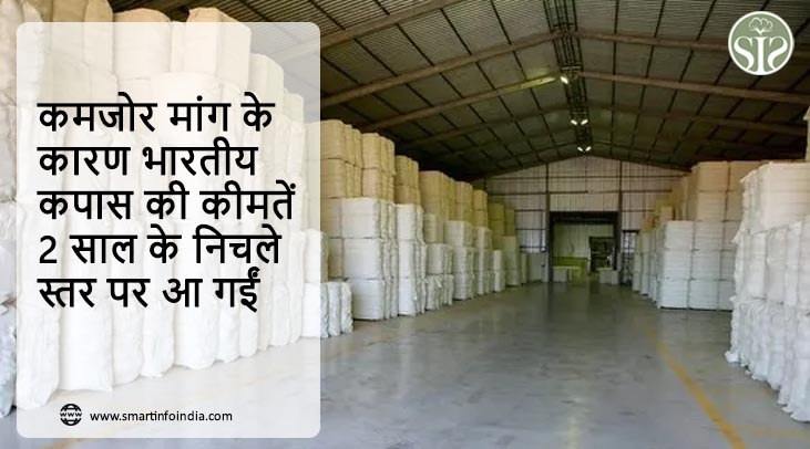 कमजोर मांग के कारण भारतीय कपास की कीमतें 2 साल के निचले स्तर पर आ गईं