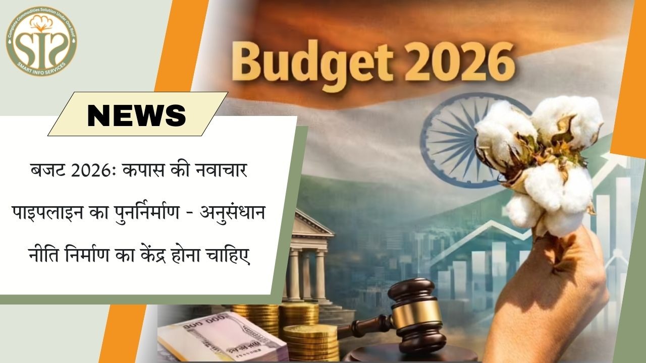 बजट 2026: कपास के लिए अनुसंधान-आधारित नीति