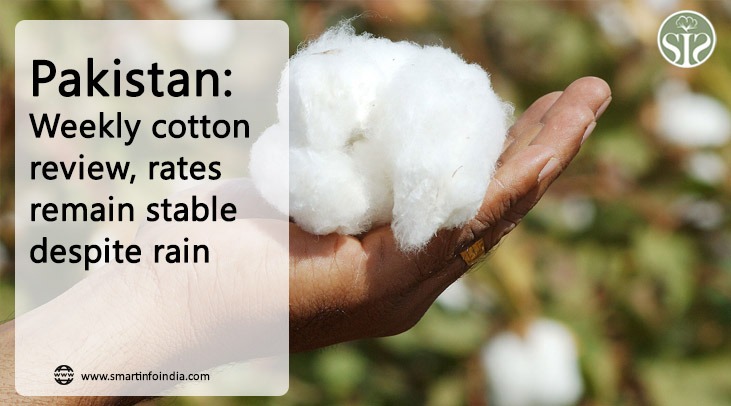 Pakistan: Weekly review of cotton, rate stable despite rain