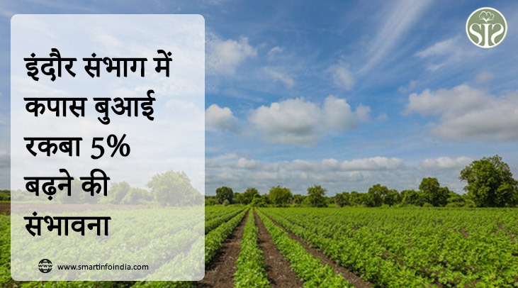 Cotton sowing area likely to increase by 5% in Indore division