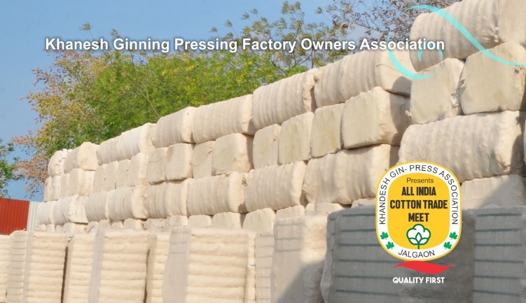 Cotton production in Gujarat drops from 1.18 crores  bales in 2017-18 to 90 lakh bales in 2020-21.