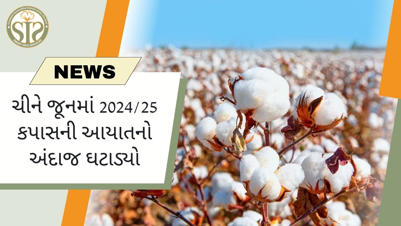 ચીને જૂનમાં 2024/25 કપાસની આયાતનો અંદાજ ઘટાડ્યો