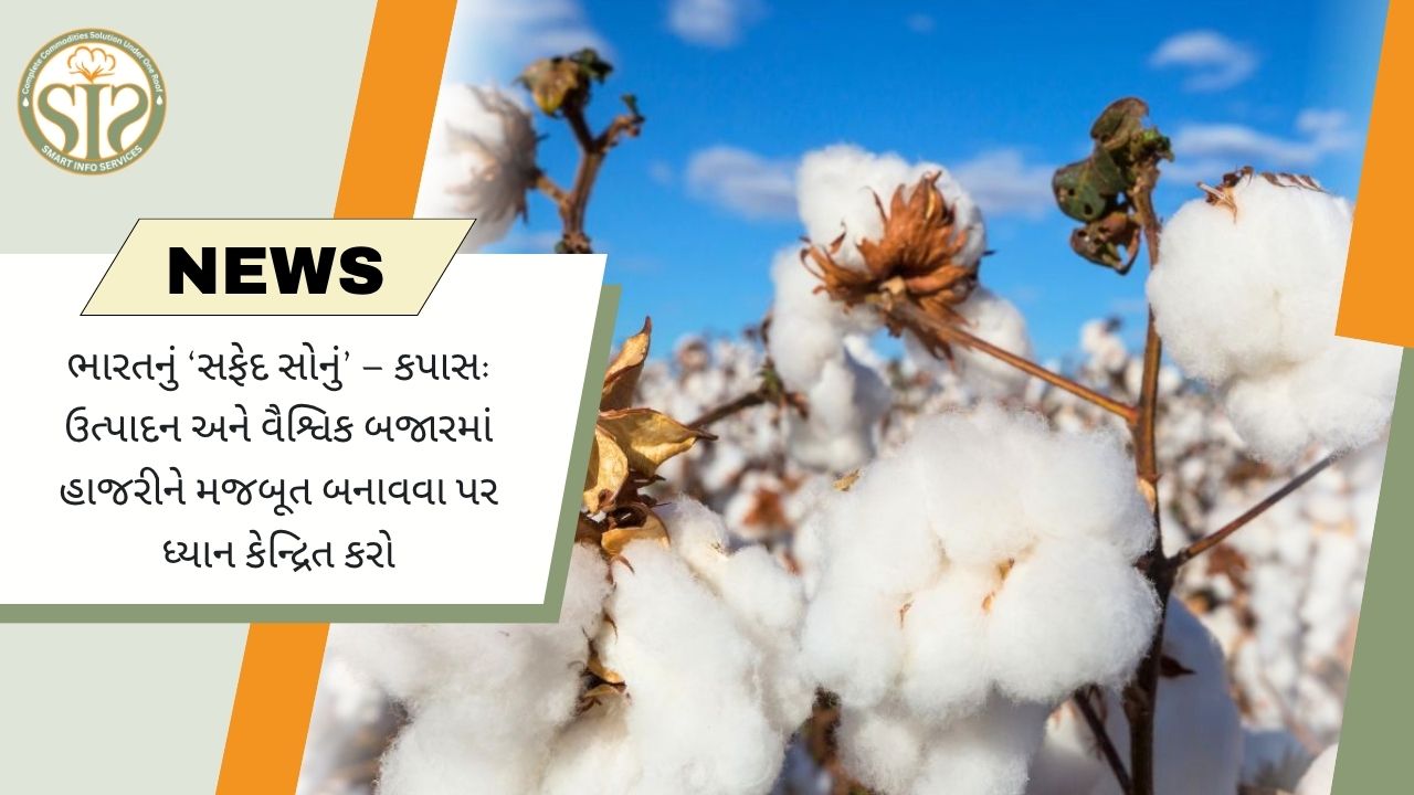 ભારતનું ‘સફેદ સોનું’ કપાસ: 2031 સુધી ઉત્પાદન વધારવાનું લક્ષ્ય