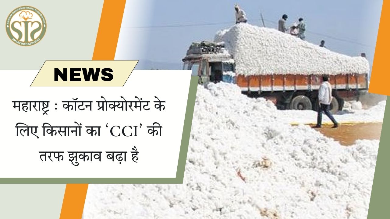 महाराष्ट्र: कॉटन खरीद में किसानों का CCI की ओर बढ़ता रुझान