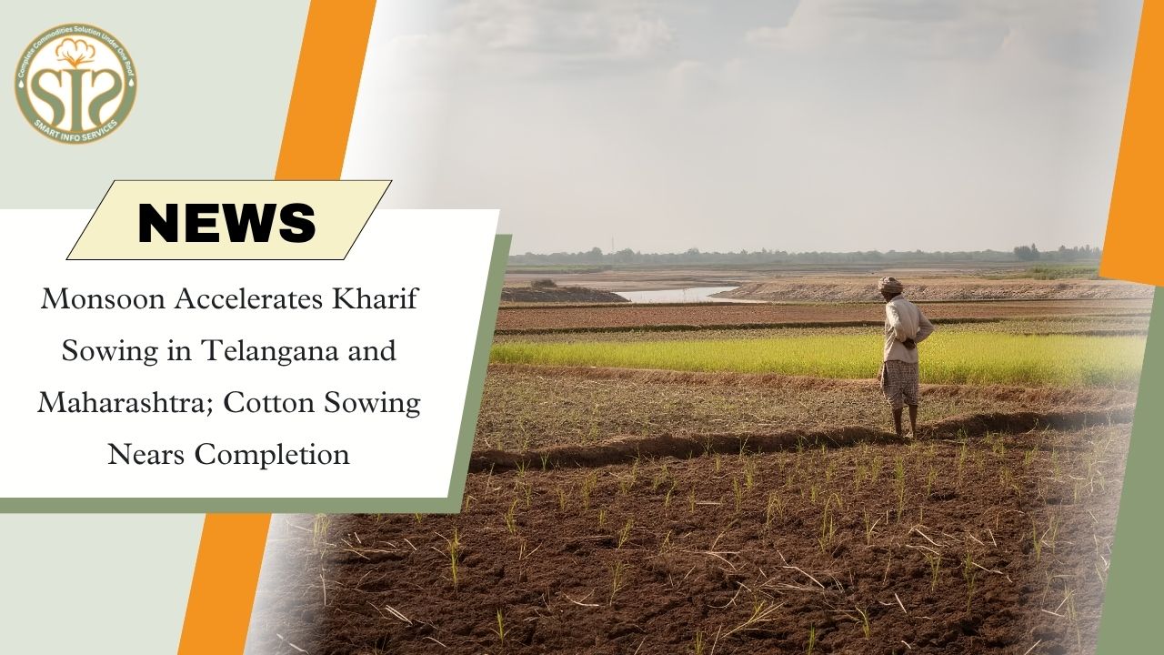 Monsoon Boosts Kharif Sowing in Telangana & Maharashtra; Cotton Sowing Nears Completion
