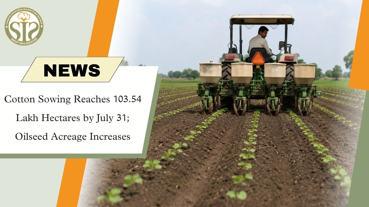 Cotton Sowing Tops 103.54 Lakh Ha