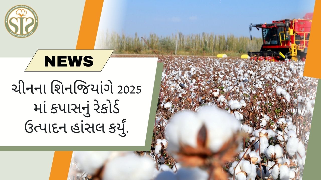 ચીનના શિનજિયાંગે 2025 માં કપાસનું રેકોર્ડ ઉત્પાદન હાંસલ કર્યું.