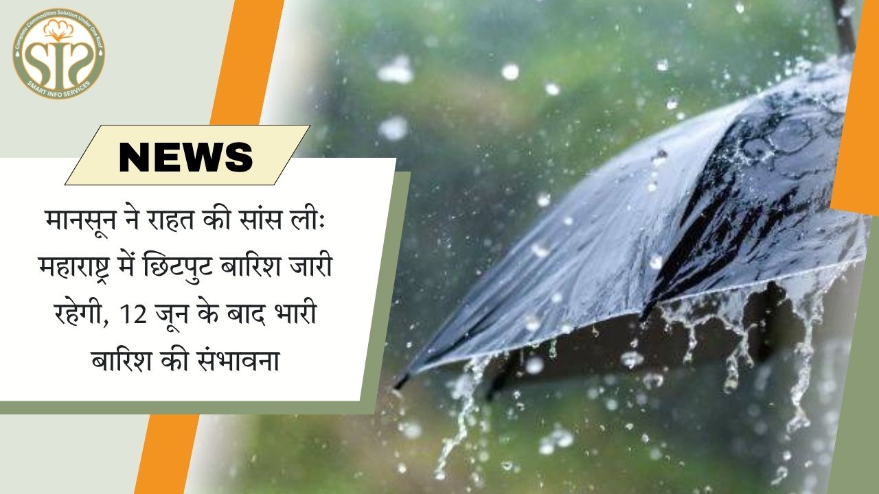 मानसून ने राहत की सांस ली: महाराष्ट्र में छिटपुट बारिश जारी रहेगी, 12 जून के बाद भारी बारिश की संभावना