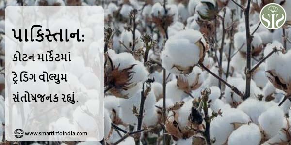 પાકિસ્તાન: કોટન માર્કેટમાં ટ્રેડિંગ વોલ્યુમ સંતોષજનક રહ્યું.