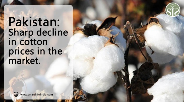 Pakistan: Heavy fall in spot price in cotton market.